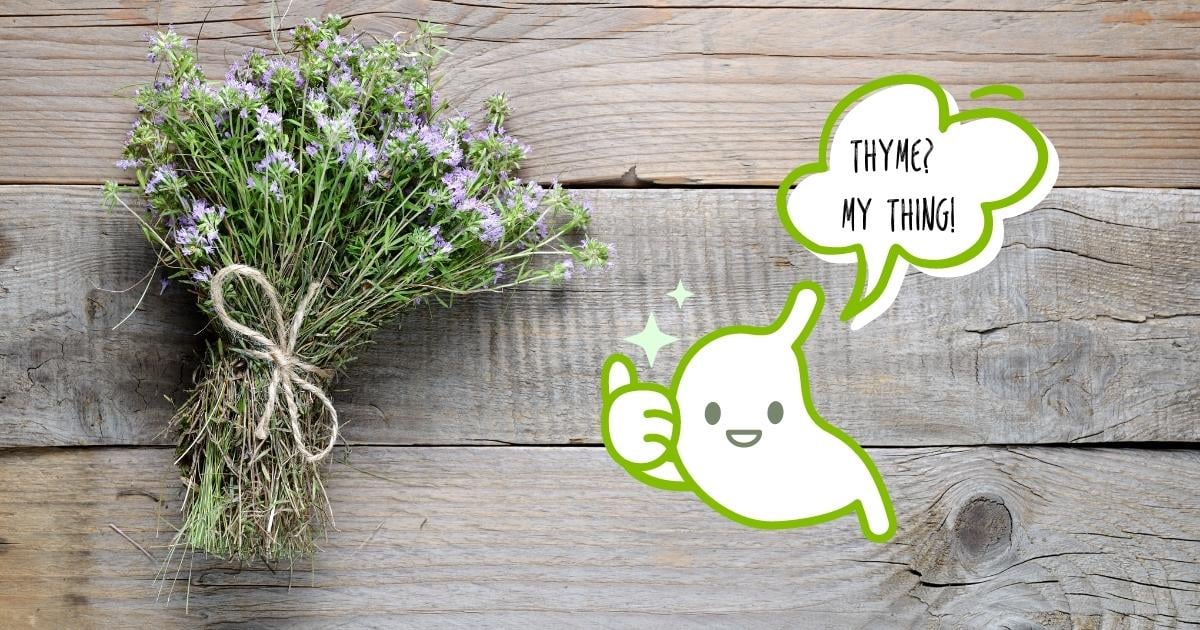 Thyme 10+ Amazing Health Benefits Assuaged Foundation